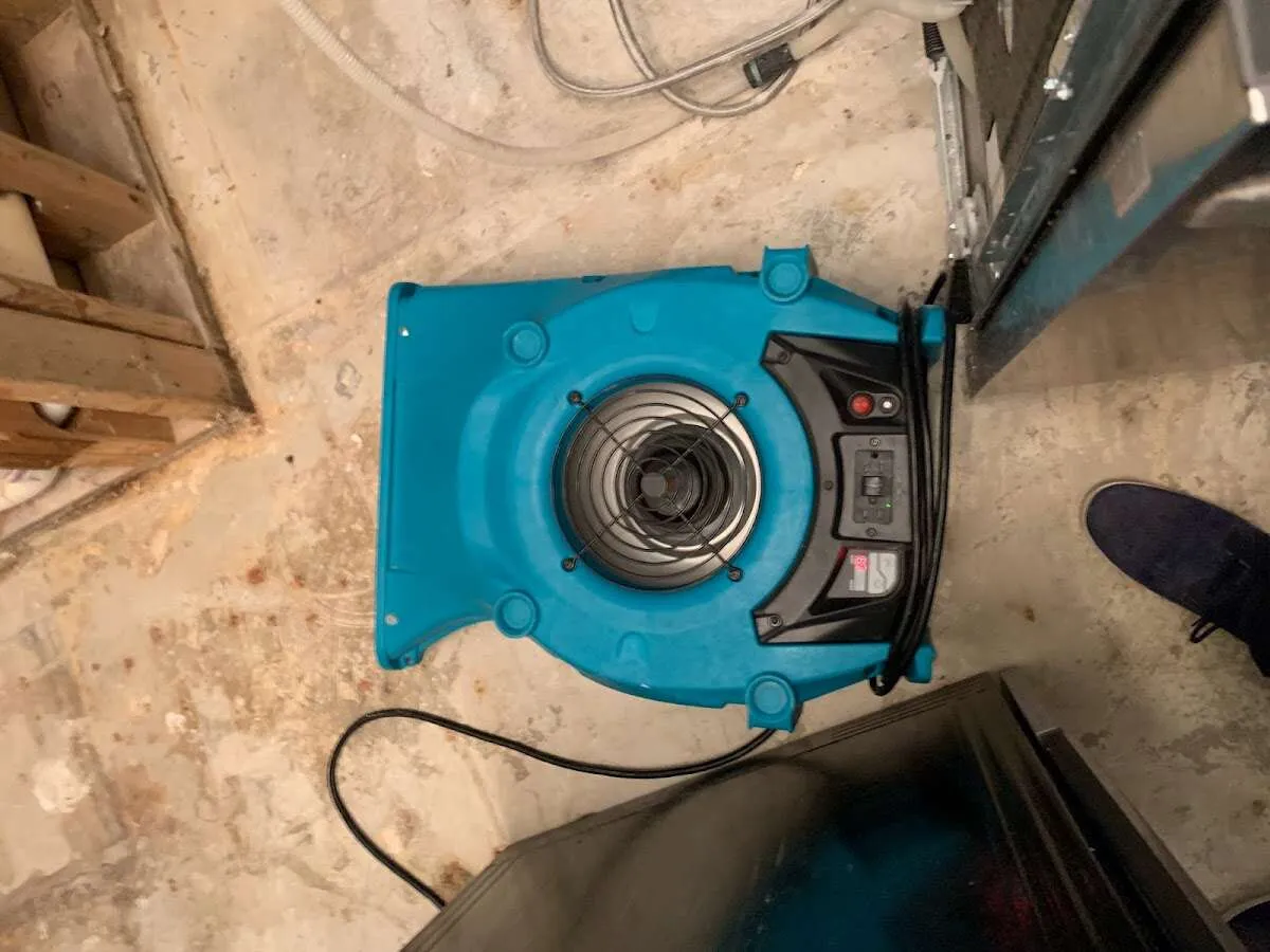 Air mover drying equipment for Mold Remediation & Removal in Belleville
